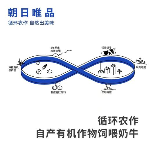 朝日唯品牧场酪乳400g（100g*4） 商品图3