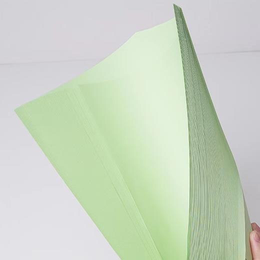 A4A5浅绿色绿色淡绿复印纸80克彩色打印纸彩色复印纸手工美术折纸绘画剪纸500张/包 商品图4