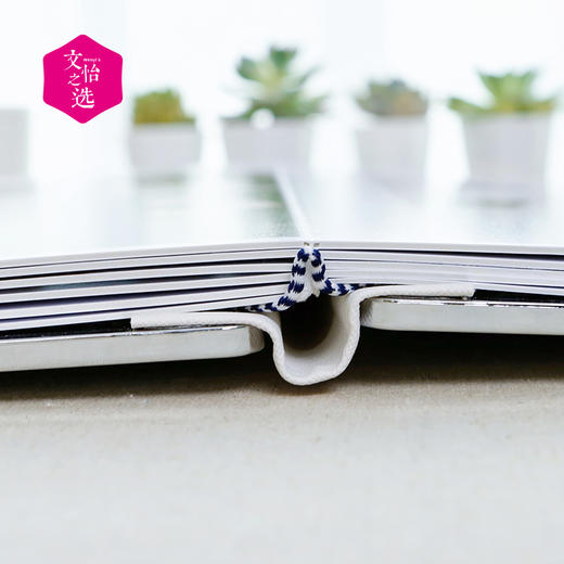 【文怡之选】定制相册 水晶/硬皮 铂金/棉麻 音乐/艺术 6款可选 10个跨页 精装成册 详情咨询客服哦~ 商品图2