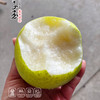 【西子玉】江南蜜（西子玉）蜜梨，25年的品质坚持，绿色食品认证，甜美爽口，送人自吃完全靠谱！ 商品缩略图12