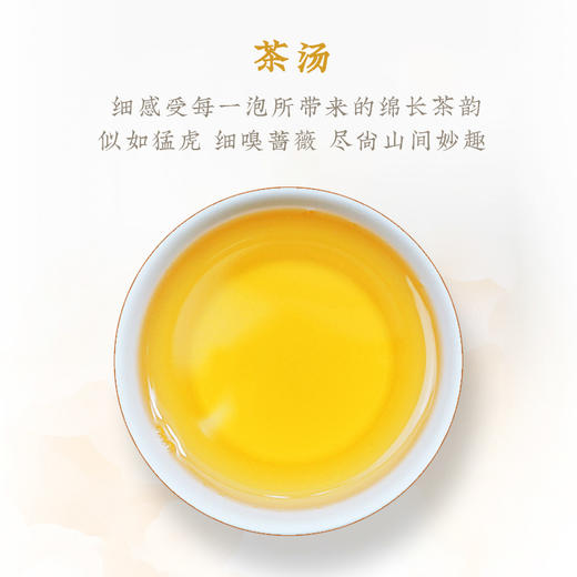 一球2021年小户赛生茶300g 商品图3