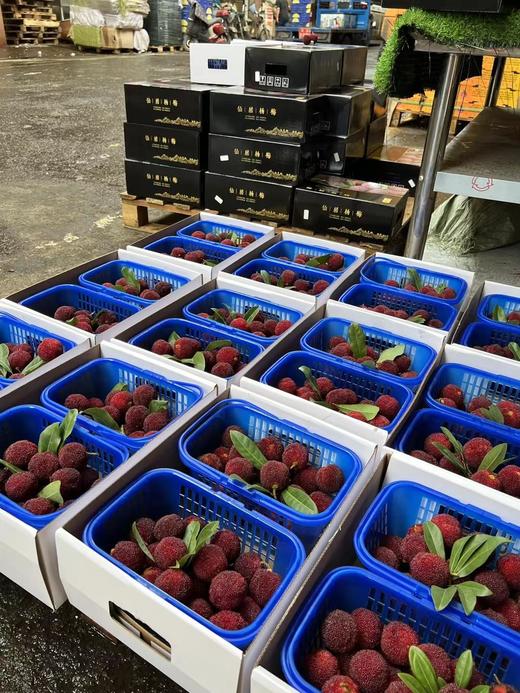 仙居东魁杨梅一箱两篮约4斤