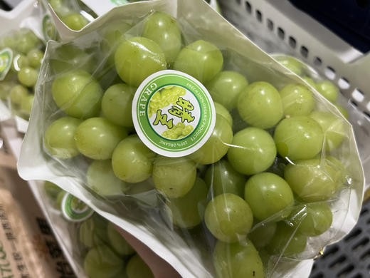 预售晴王阳光玫瑰葡萄大颗粒香甜多汁肉质硬脆带有淡淡玫瑰香味335斤