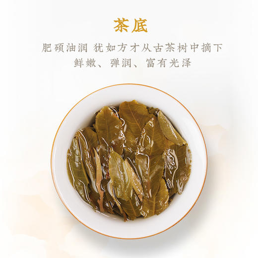 一球2021年小户赛生茶300g 商品图4