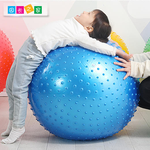 感统-大龙球 瑜伽球 商品图1