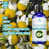 【预售】罗马洋甘菊/小白菊纯露 2025当季新露 海外进口新鲜纯露 原产地直供 修复 商品缩略图1