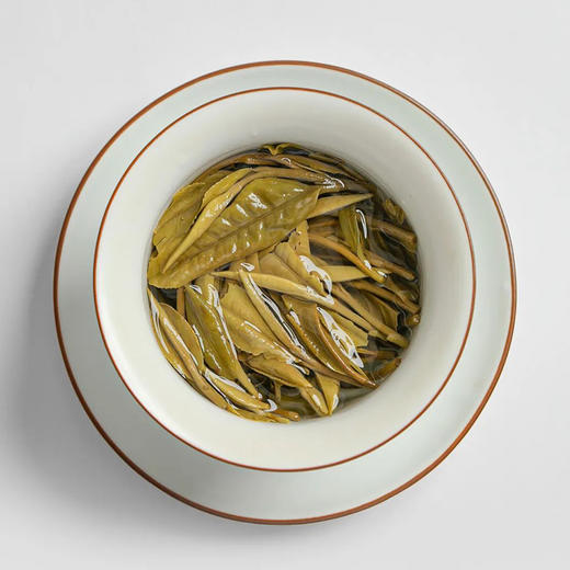 福鼎白茶丨2024年一叶九鼎竹韵牡丹·一级白牡丹 500g 商品图9