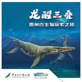 【重庆自然博物馆】龙醒三叠，贵州古生物探索之旅