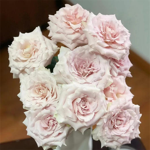 百利信玫瑰流沙10支 商品图1