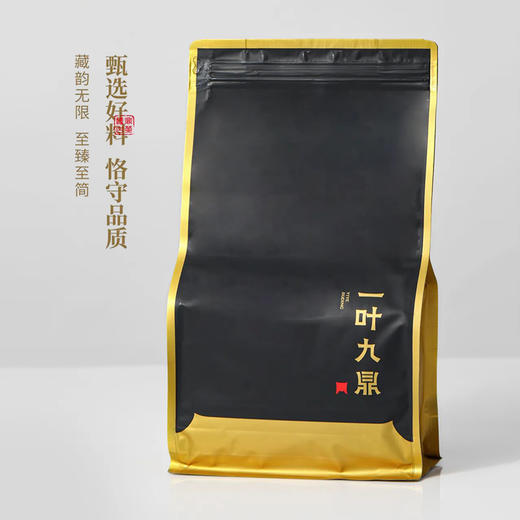 福鼎白茶丨2024年一叶九鼎竹韵牡丹·一级白牡丹 500g 商品图10