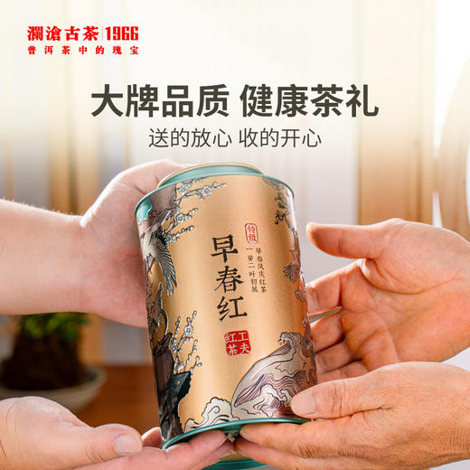 澜沧古茶2023年茶妈妈早春红云南高山红茶罐装150g 商品图3