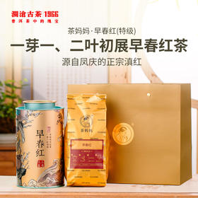 澜沧古茶2023年茶妈妈早春红云南高山红茶罐装150g