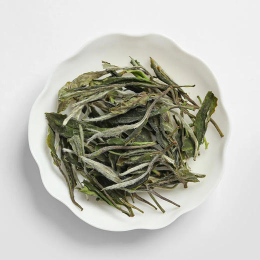 福鼎白茶丨2024年一叶九鼎竹韵牡丹·一级白牡丹 500g 商品图6