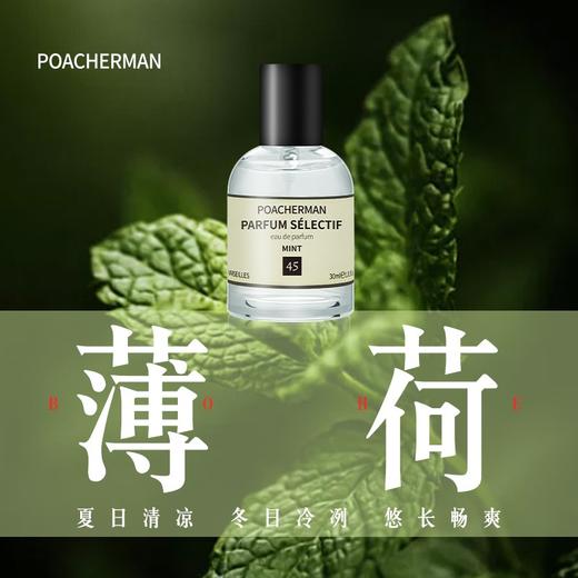 薄荷香水 Mint薄荷味香水香型小众清新冷调持久中性男女淡香香水 商品图0