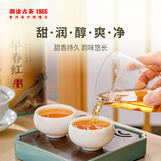 澜沧古茶2023年茶妈妈早春红云南高山红茶罐装150g 商品图1