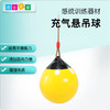感统-充气吊球 商品缩略图0