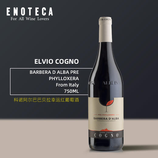 科诺阿尔巴巴贝拉幸运红葡萄酒 ELVIO COGNO BARBERA D ALBA PRE PHYLLOXERA 750ml 商品图0