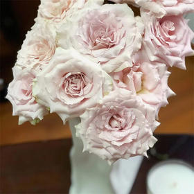 百利信玫瑰流沙10支