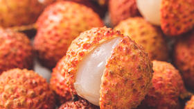  只有吃到了桂味和糯米糍，荔枝季的“高潮”才算是到了！ 