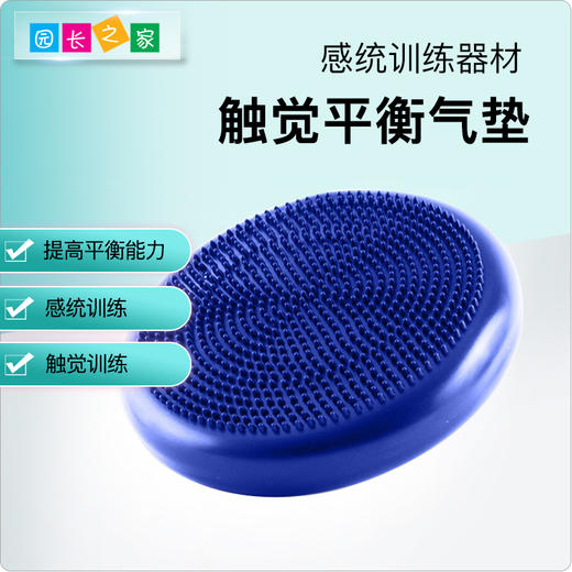 感统-平衡气垫 商品图0