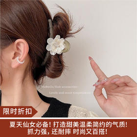 【限时折扣】小清新绿色抓夹