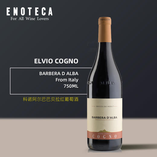 科诺阿尔巴多尔切托红葡萄酒  ELVIO COGNO DOLCETTO D ARBA 750ml 商品图0
