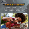 侏罗纪世界     GWT54      大型收藏恐龙系列 商品缩略图2