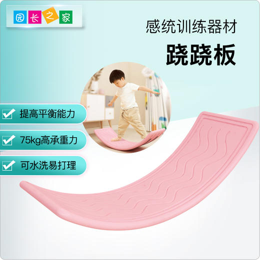 感统-聪明板跷跷板 商品图0