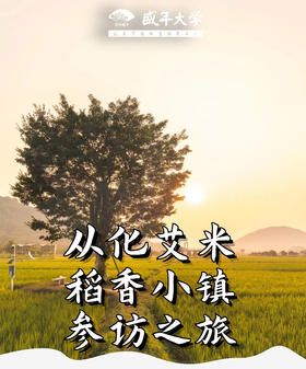 7月6日 重画艾米稻香小镇+阳光人家游学基地参访一天游