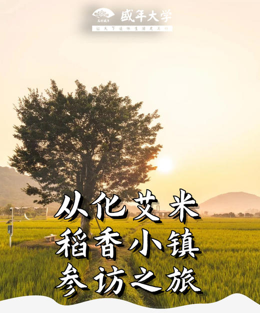 7月6日 重画艾米稻香小镇+阳光人家游学基地参访一天游 商品图0