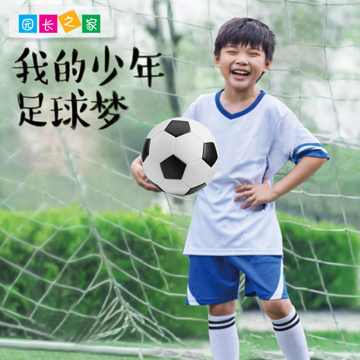 感统-3号足球 商品图1