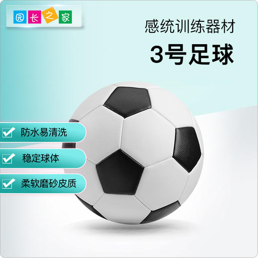 感统-3号足球 商品图0