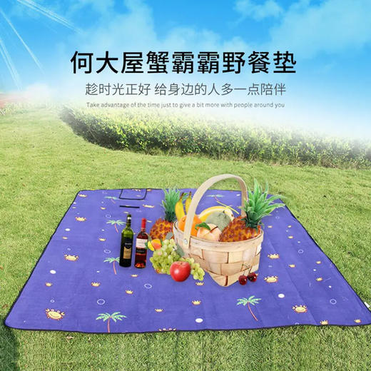 何大屋Hodtown 休闲地垫野餐垫 可清洗 餐垫HDW1806 200*200cm 商品图0