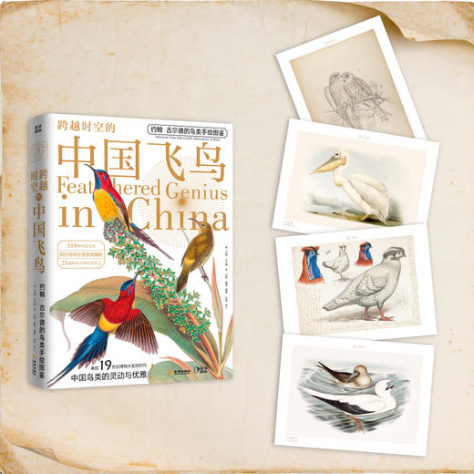 跨越时空的中国飞鸟：约翰·古尔德的鸟类手绘图鉴 商品图1