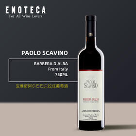 宝维诺酒庄阿尔巴巴贝拉红葡萄酒 PAOLO SCAVINO BARBERA D ALBA 750ml