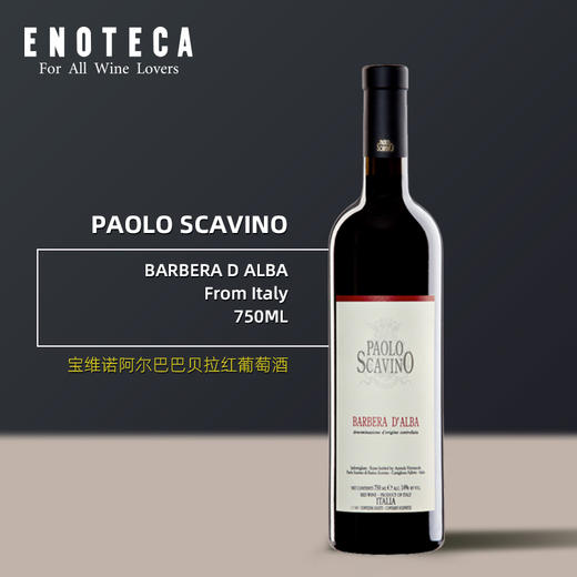 宝维诺酒庄阿尔巴巴贝拉红葡萄酒 PAOLO SCAVINO BARBERA D ALBA 750ml 商品图0