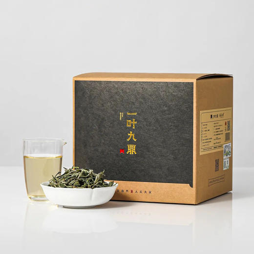 福鼎白茶丨2024年一叶九鼎竹韵牡丹·一级白牡丹 500g 商品图11