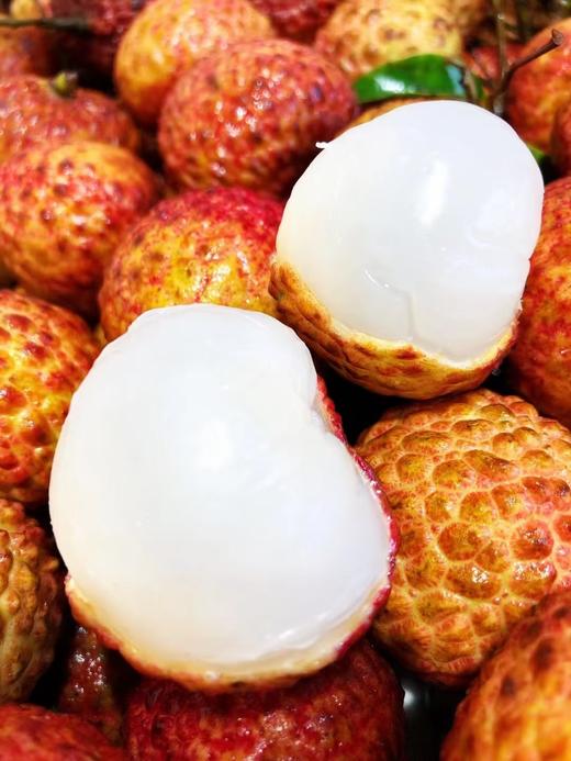 仙进奉小核荔枝