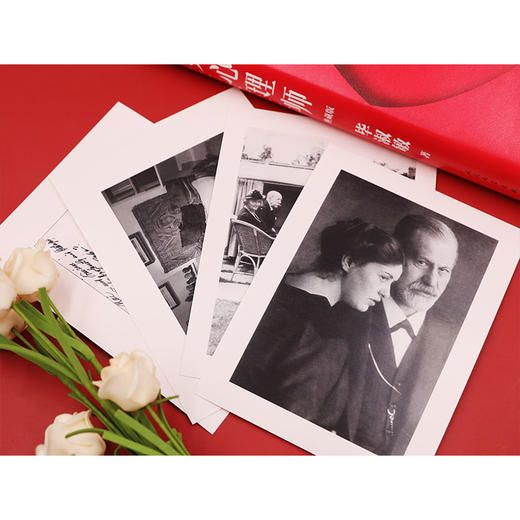 (仓发) 女心理师/典藏版/随书赠四张明信片及佛洛依德精神分析名言，同名小说改编电视剧由杨紫、井柏然领衔主演/人民文学出版社/毕淑敏/9787020167104 商品图6