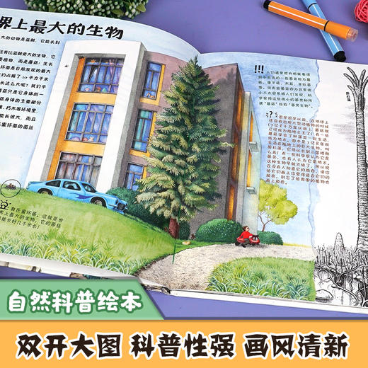 看！蘑菇 商品图1