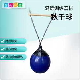 感统-秋千球