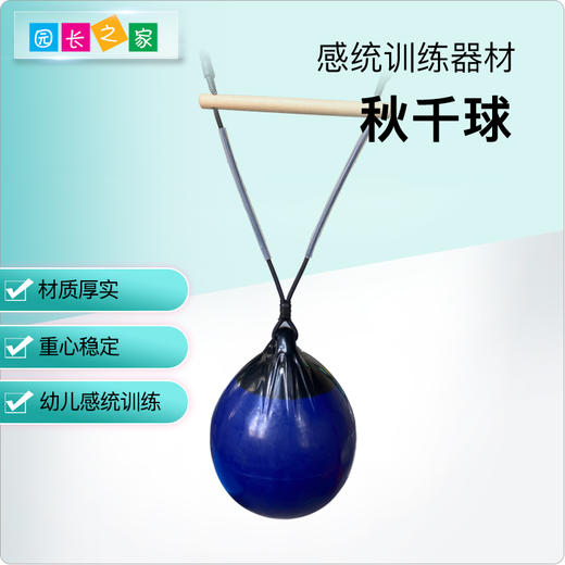 感统-秋千球 商品图0