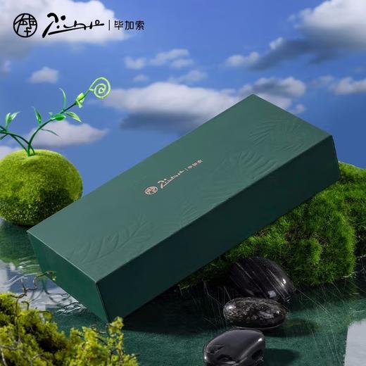 毕加索钢笔916自然系列钢笔硬笔书法练字铱金笔 商品图4