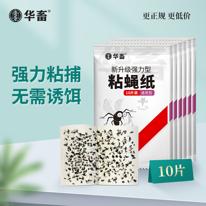 粘蝇纸10张/包 加厚强力粘捕