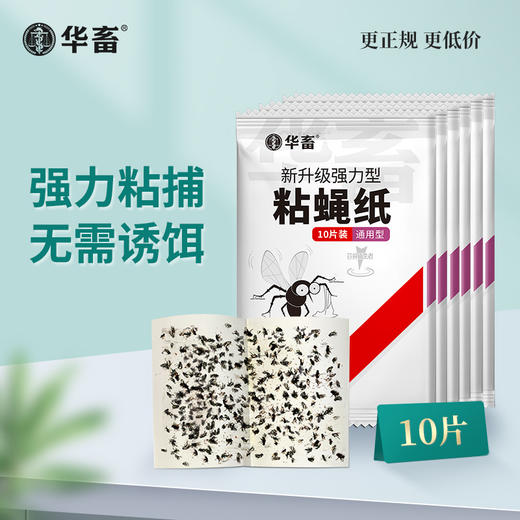 【积分兑换】粘蝇纸10张/包 加厚强力粘捕 商品图0