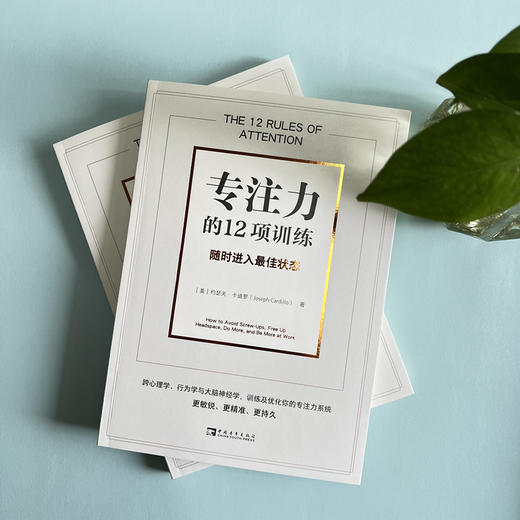 专注力的12项训练：随时进入zui佳状态 商品图2