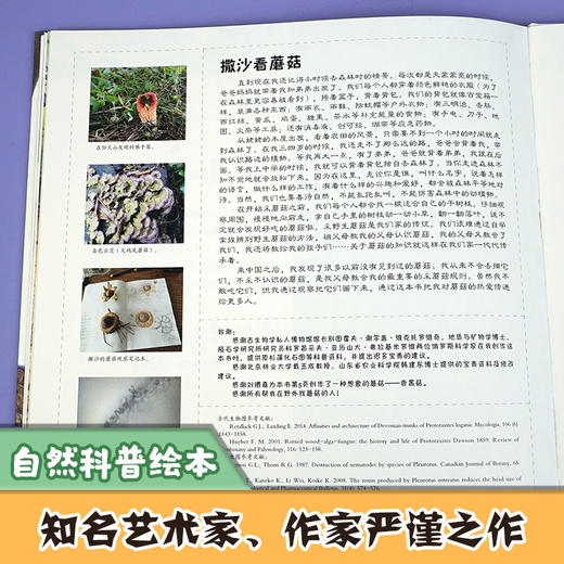 看！蘑菇 商品图4