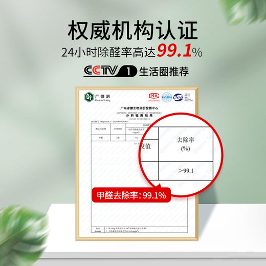 材慧除甲醛除味变色球  ts 商品图5