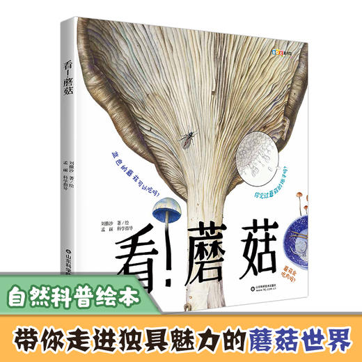 看！蘑菇 商品图0