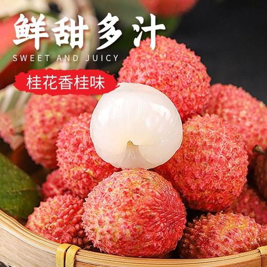 老树桂味荔枝一份约500g 商品图0